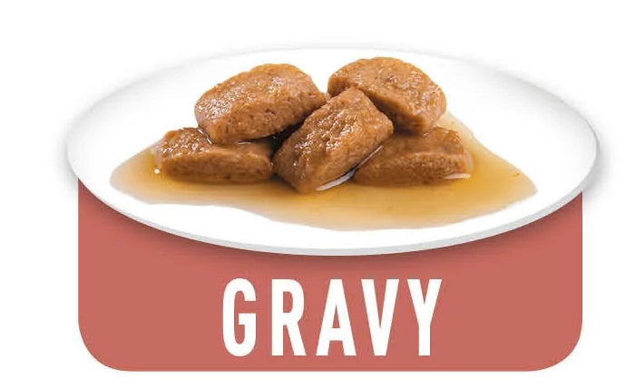 Maxi Adult - blautfóður