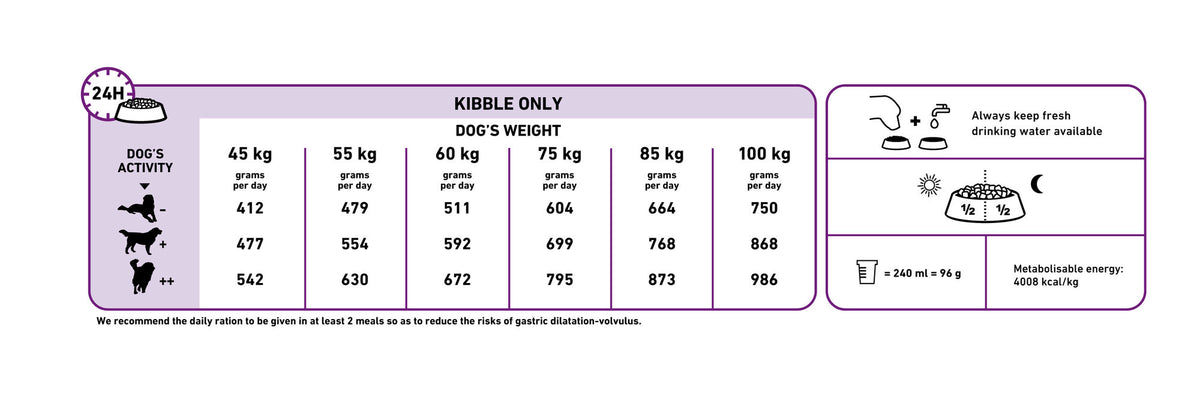 Giant Adult + FRÍ GJÖF