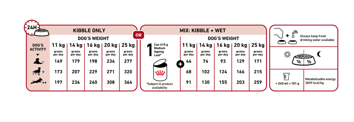 Medium Adult 7+ + FRÍ GJÖF