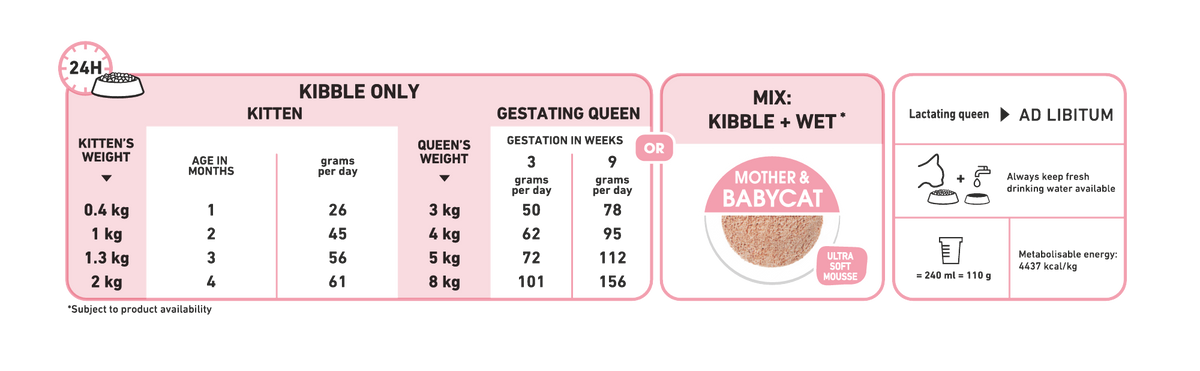 Mother &amp; Babycat