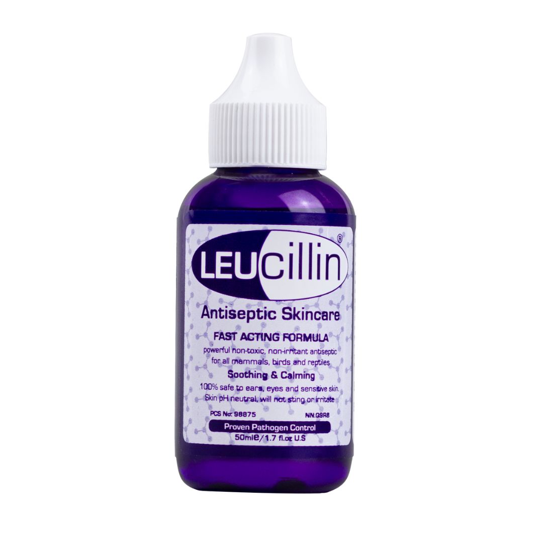 Leucillin Antiseptic Sáravökvi 50ml