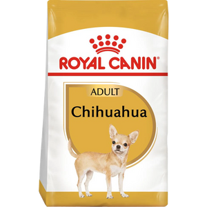 Chihuahua
