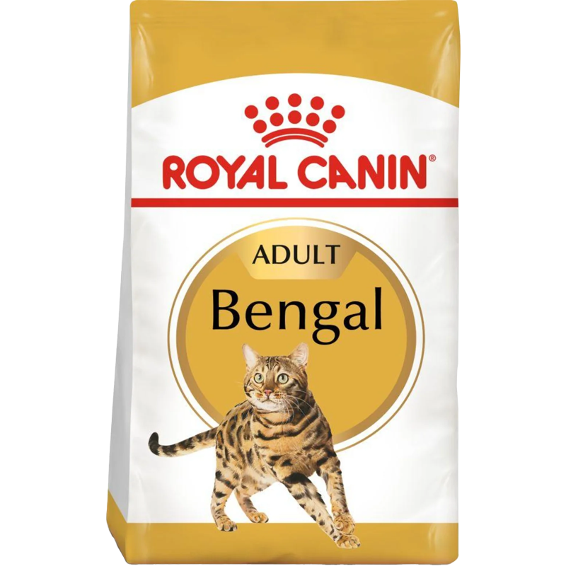 Bengal