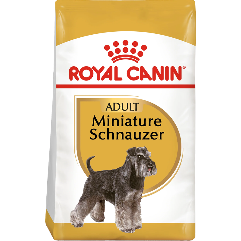 Schnauzer Adult