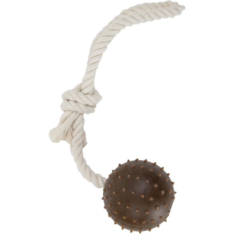 Tough Ropey Ball Tugger