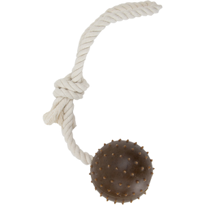 Tough Ropey Ball Tugger