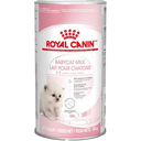 Babycat Milk 300gr - kettlingamjólk