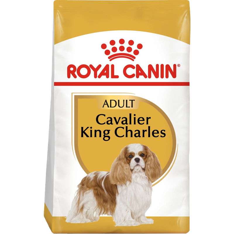 Cavalier