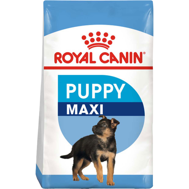 Maxi Puppy
