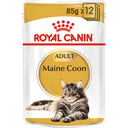 Maine Coon - blautfóður