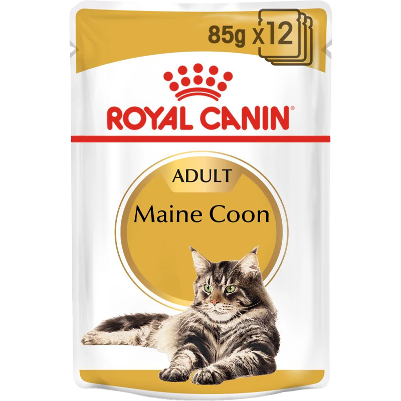 Maine Coon - blautfóður