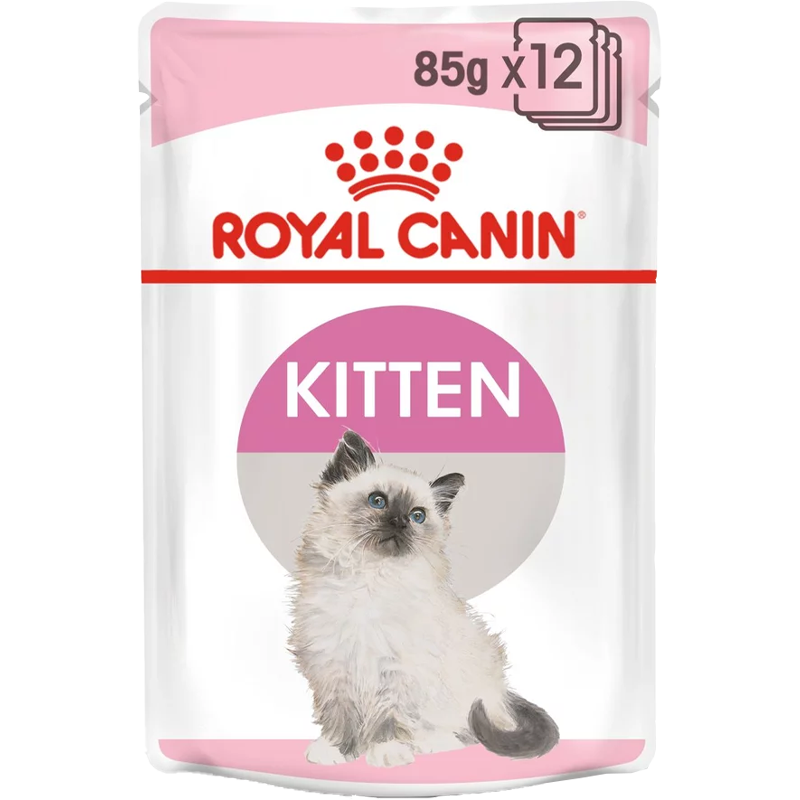 Kitten - blautfóður