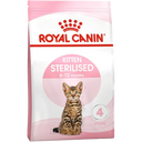 Kitten Sterilised