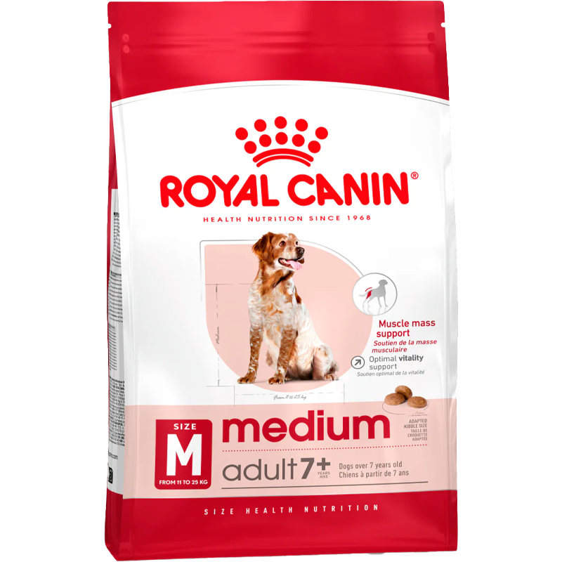 Medium Adult 7+ + FRÍ GJÖF