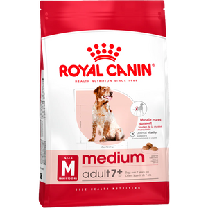 Medium Adult 7+ + FRÍ GJÖF