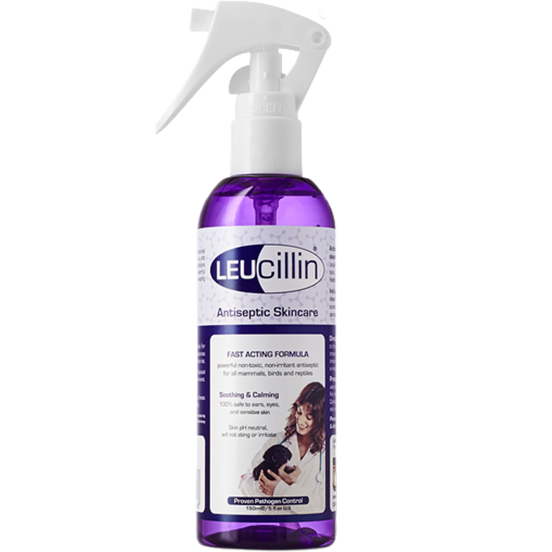 Leucillin Antiseptic Sáravökvi 150ml spray