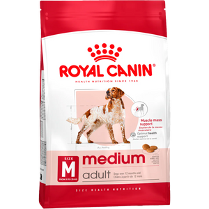 Medium Adult + FRÍ GJÖF