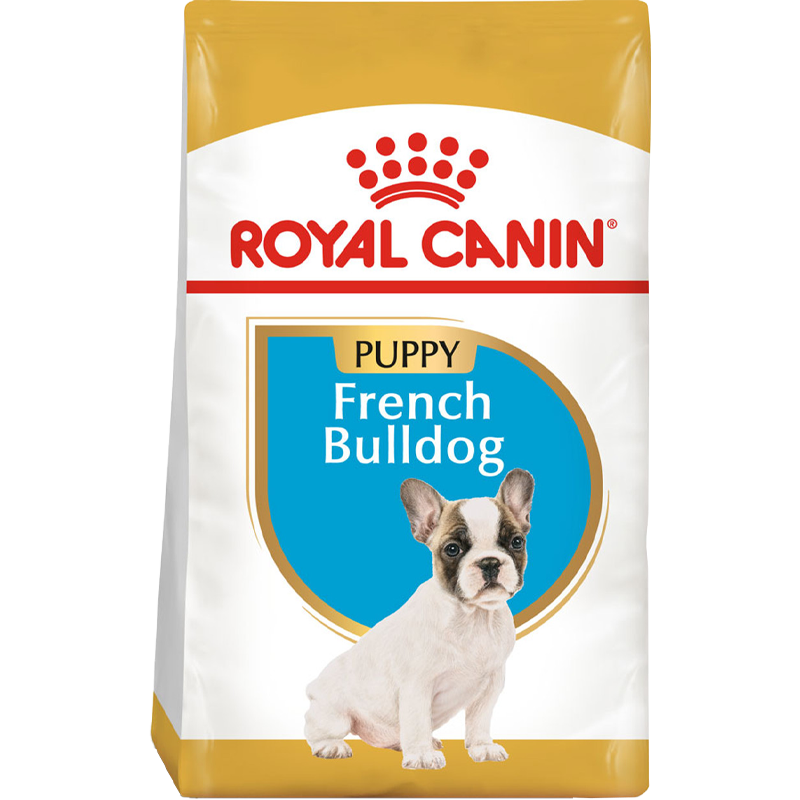 French Bulldog Puppy