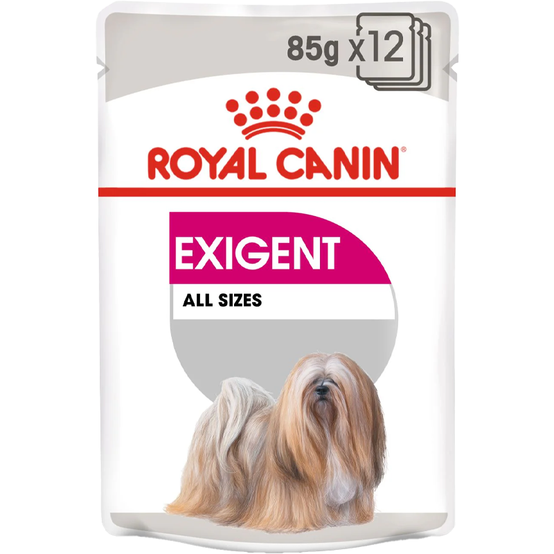 Exigent dog - blautfóður