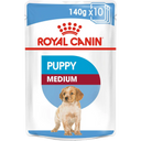 Medium Puppy - blautfóður