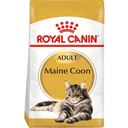 Maine Coon