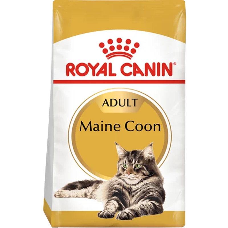 Maine Coon
