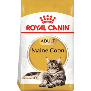 Maine Coon