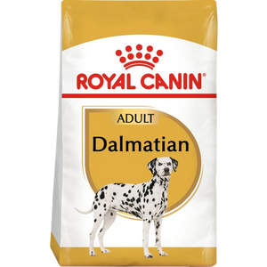 Dalmatian Adult