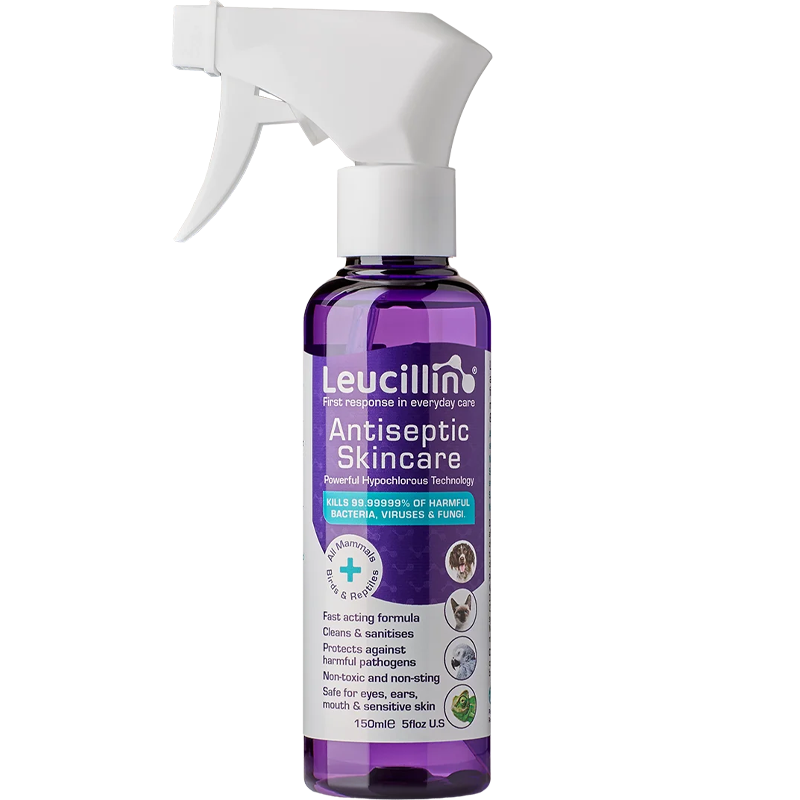 Leucillin Antiseptic Sáravökvi 150ml spray
