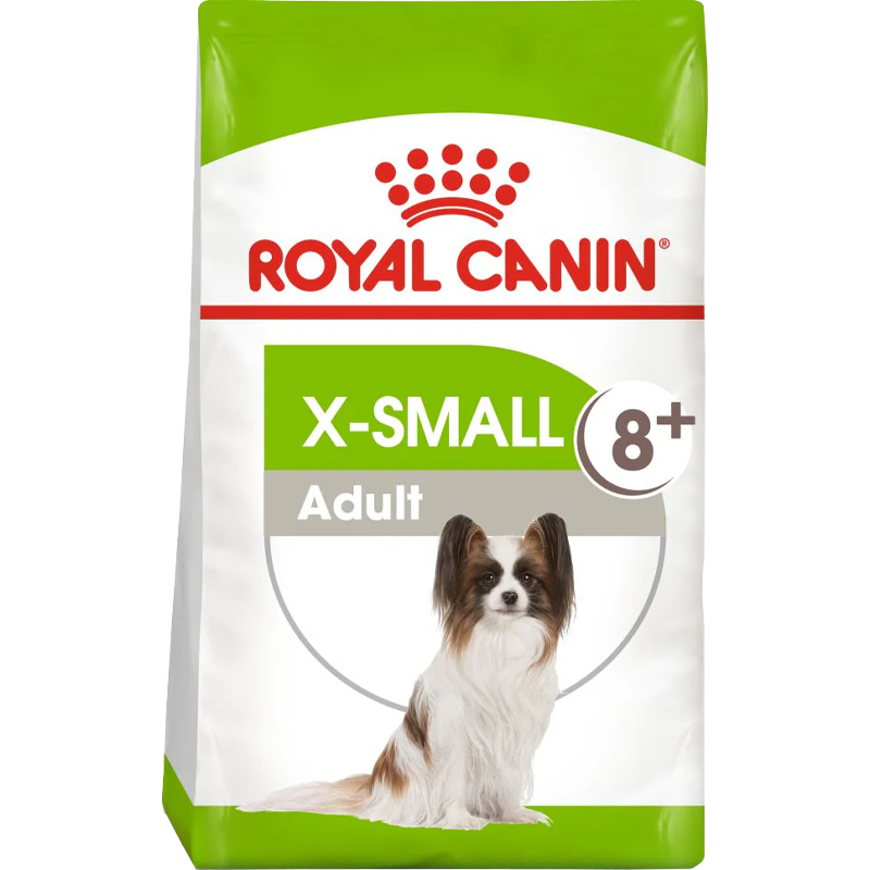 Xsmall Adult 8+  + FRÍ GJÖF