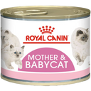 Mother & Babycat - blautfóður