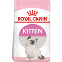Kitten