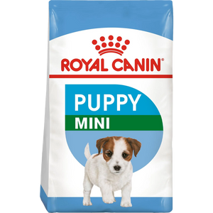 Mini Puppy