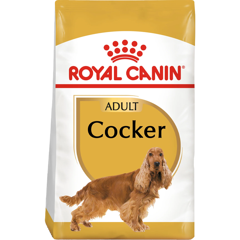 Cocker Spaniel
