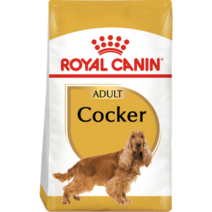Cocker Spaniel
