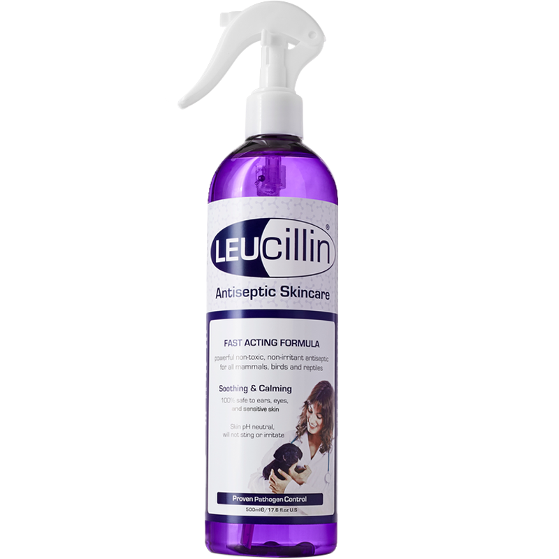 Leucillin Antiseptic Sáravökvi 500ml spray