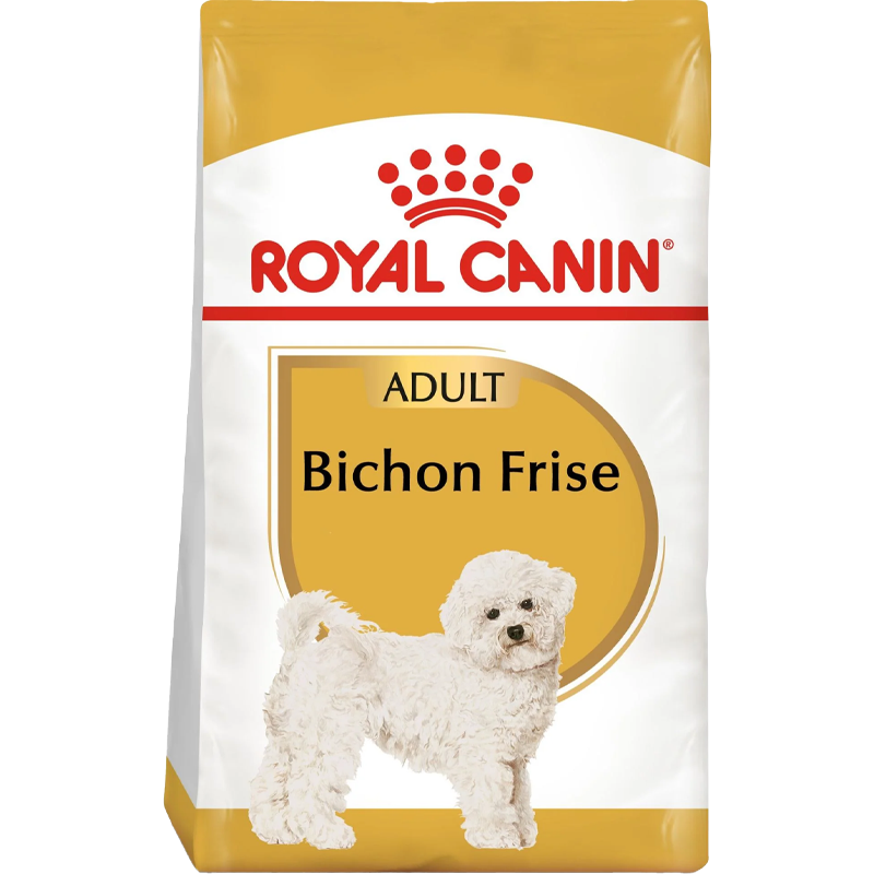 Bichon Frise