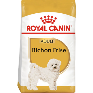 Bichon Frise