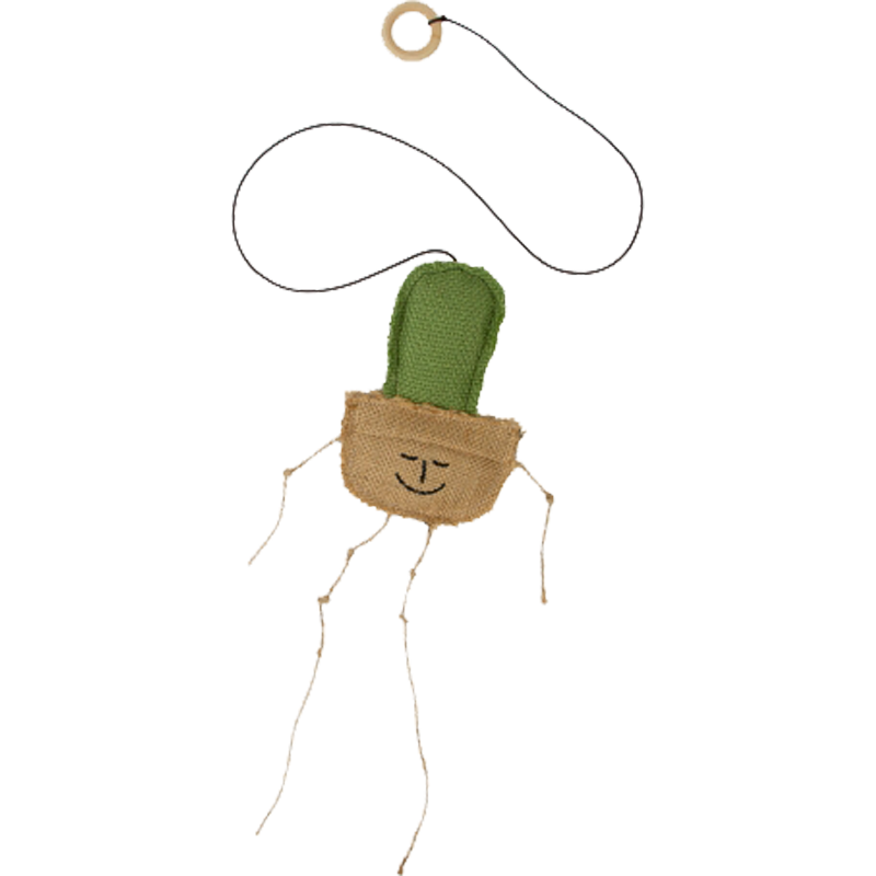 Kaktus kattaleikfang (Catnip)