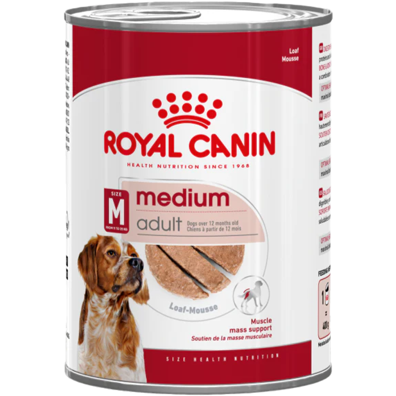 Medium adult - Blautfóður í dós