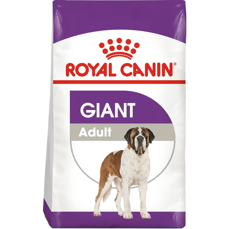 Giant Adult + FRÍ GJÖF