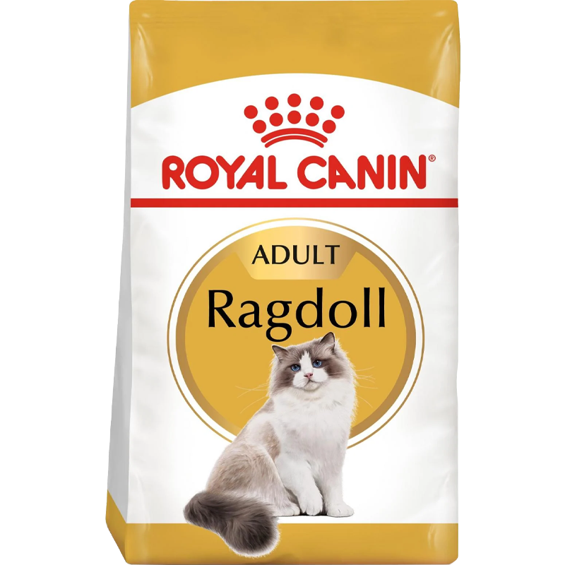 Ragdoll