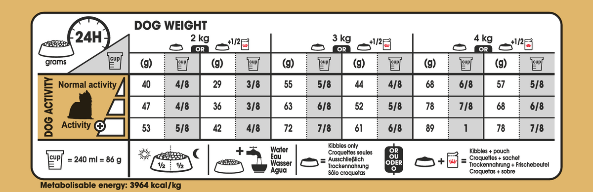 Yorkshire Terrier Adult