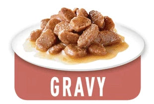 Ageing 12+ - blautfóður