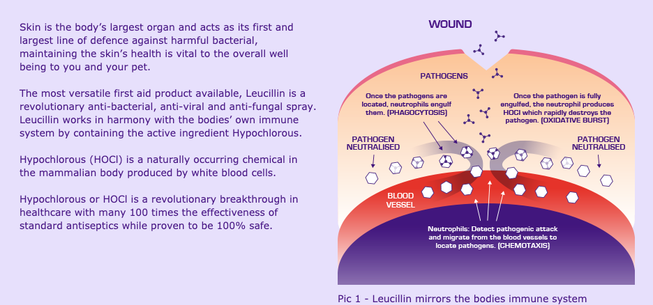 Leucillin Antiseptic skin care 60ml