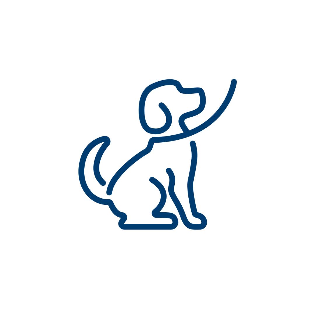 Hvolpanámskeið - 12:00-13:30