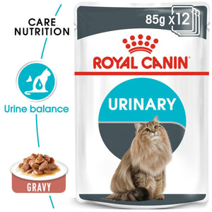 Cat Urinary Care - blautfóður